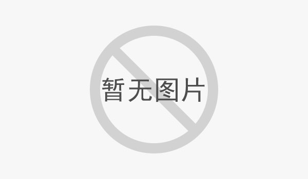 直插式氮氧化物在線分析儀