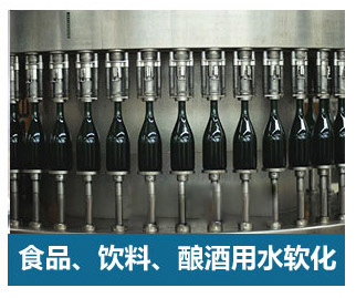 0.5噸(500L)每小時出力全自動軟水器