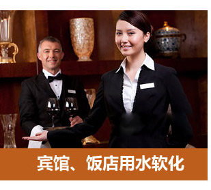 數(shù)顯多路閥全自動(dòng)軟水器(軟化水設(shè)備)