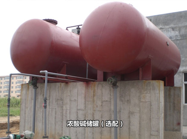 陽離子交換器 陽離子交換器